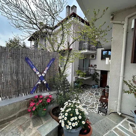 Doma Est 1991 Guest house