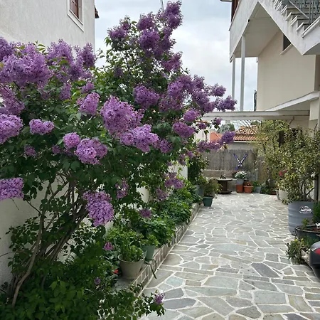 Πανσιόν Doma Est 1991 3*